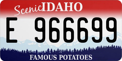 ID license plate E966699