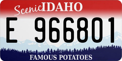 ID license plate E966801