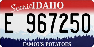 ID license plate E967250