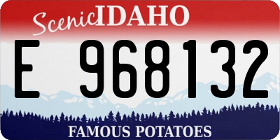 ID license plate E968132