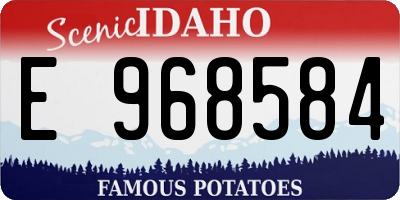 ID license plate E968584