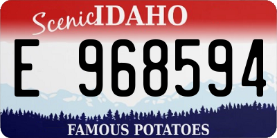 ID license plate E968594