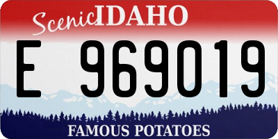 ID license plate E969019