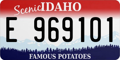 ID license plate E969101