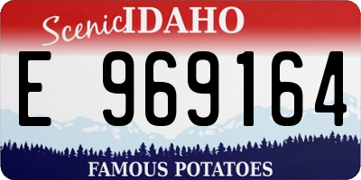 ID license plate E969164