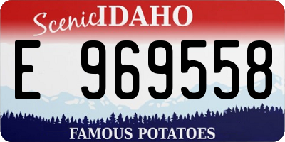 ID license plate E969558