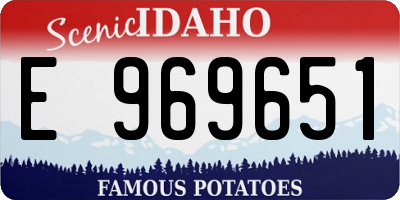 ID license plate E969651