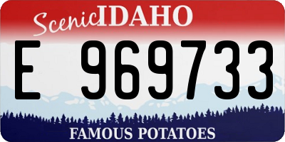 ID license plate E969733