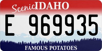 ID license plate E969935