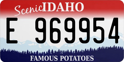 ID license plate E969954