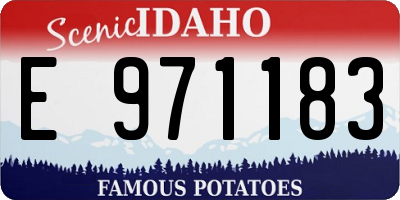 ID license plate E971183