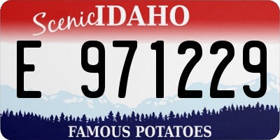 ID license plate E971229