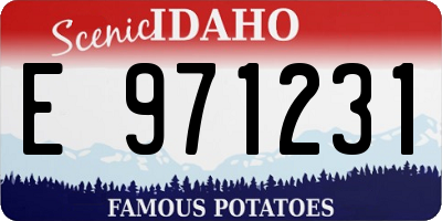 ID license plate E971231