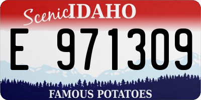ID license plate E971309