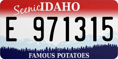 ID license plate E971315