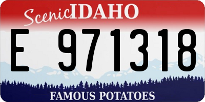 ID license plate E971318