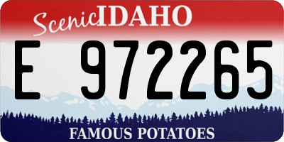 ID license plate E972265