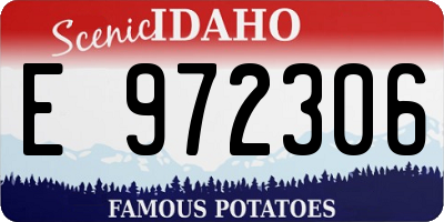 ID license plate E972306