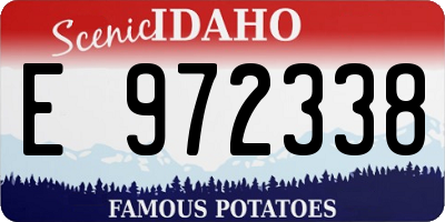 ID license plate E972338