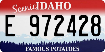 ID license plate E972428