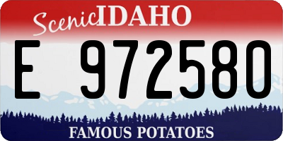 ID license plate E972580