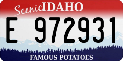 ID license plate E972931