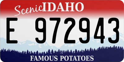 ID license plate E972943