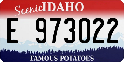 ID license plate E973022