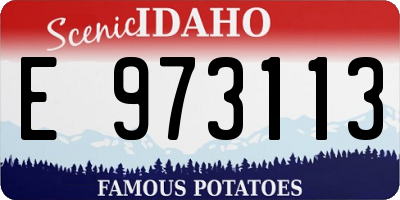 ID license plate E973113