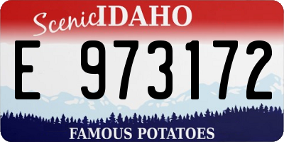 ID license plate E973172