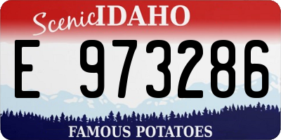 ID license plate E973286