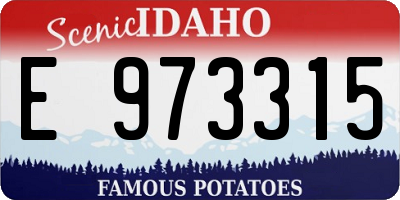 ID license plate E973315