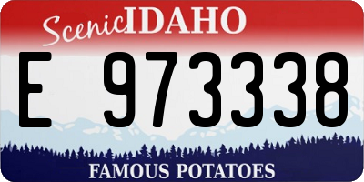 ID license plate E973338