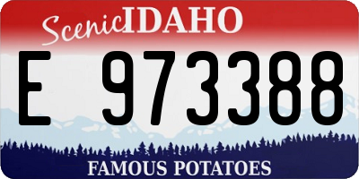 ID license plate E973388