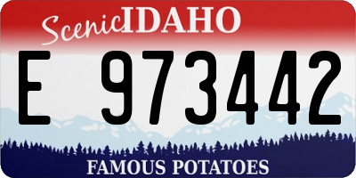ID license plate E973442