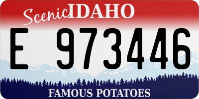 ID license plate E973446