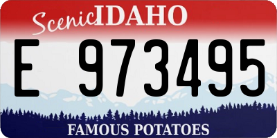ID license plate E973495
