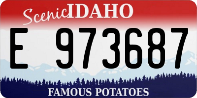 ID license plate E973687
