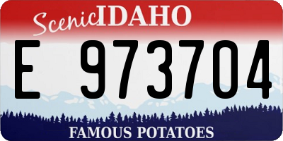 ID license plate E973704