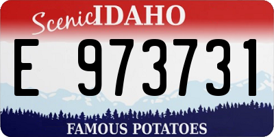 ID license plate E973731