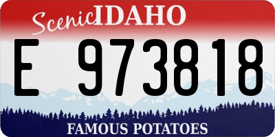 ID license plate E973818