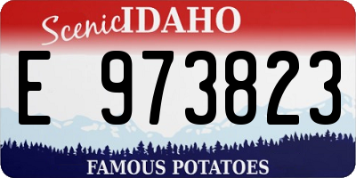 ID license plate E973823
