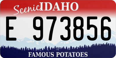 ID license plate E973856