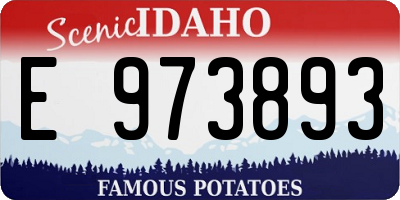 ID license plate E973893