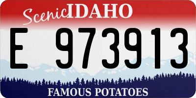 ID license plate E973913