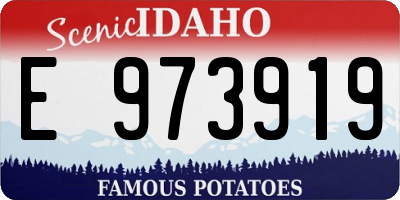 ID license plate E973919