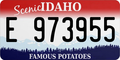 ID license plate E973955