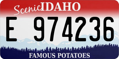 ID license plate E974236