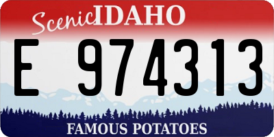 ID license plate E974313