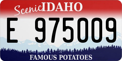 ID license plate E975009